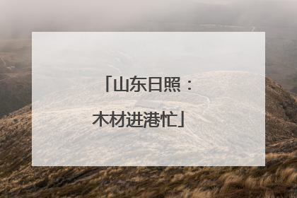 山东日照：木材进港忙