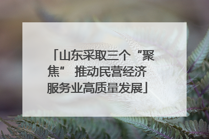山东采取三个“聚焦” 推动民营经济服务业高质量发展