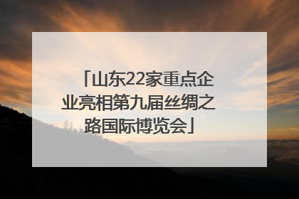 山东22家重点企业亮相第九届丝绸之路国际博览会