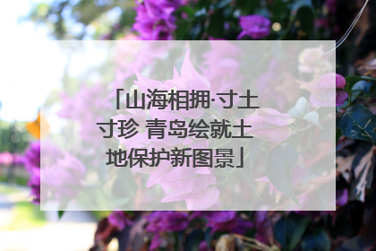 山海相拥·寸土寸珍 青岛绘就土地保护新图景