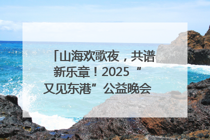 山海欢歌夜，共谱新乐章！2025“又见东港”公益晚会奏响文旅强音