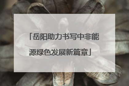 岳阳助力书写中非能源绿色发展新篇章