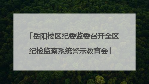 岳阳楼区纪委监委召开全区纪检监察系统警示教育会