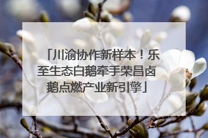 川渝协作新样本！乐至生态白鹅牵手荣昌卤鹅点燃产业新引擎