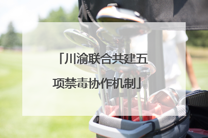 川渝联合共建五项禁毒协作机制
