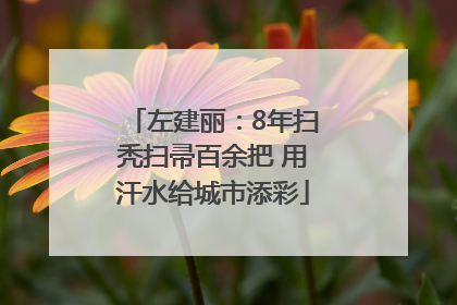 左建丽：8年扫秃扫帚百余把 用汗水给城市添彩