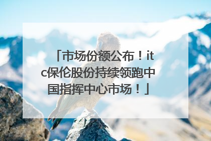 市场份额公布！itc保伦股份持续领跑中国指挥中心市场！