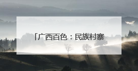 广西百色：民族村寨里的 “致富鸡”