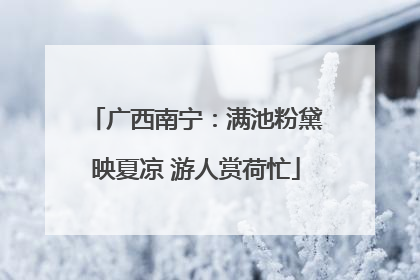 广西南宁：满池粉黛映夏凉 游人赏荷忙