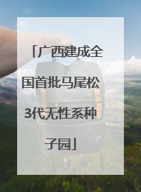 广西建成全国首批马尾松3代无性系种子园