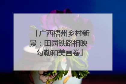 广西梧州乡村新景：田园铁路相映 勾勒和美画卷