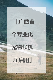 广西首个专业化宠物候机厅启用