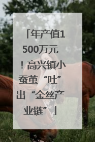 年产值1500万元！高兴镇小蚕茧“吐”出“金丝产业链”