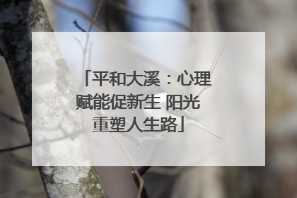 平和大溪：心理赋能促新生 阳光重塑人生路