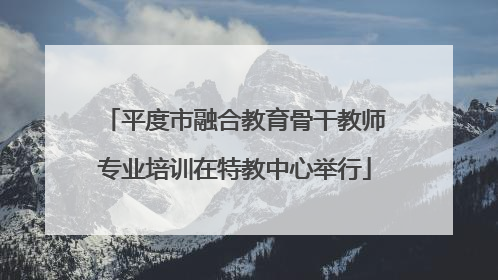 平度市融合教育骨干教师专业培训在特教中心举行