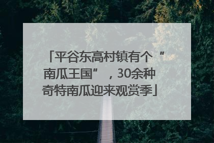 平谷东高村镇有个“南瓜王国”，30余种奇特南瓜迎来观赏季
