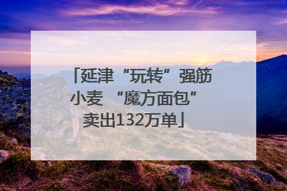 延津“玩转”强筋小麦 “魔方面包”卖出132万单