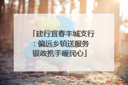 建行宜春丰城支行：偏远乡镇送服务 银政携手暖民心