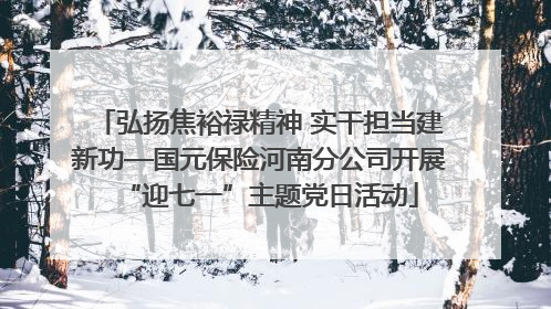 弘扬焦裕禄精神 实干担当建新功—国元保险河南分公司开展“迎七一”主题党日活动
