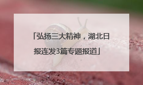 弘扬三大精神，湖北日报连发3篇专题报道
