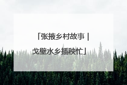 张掖乡村故事｜戈壁水乡插秧忙