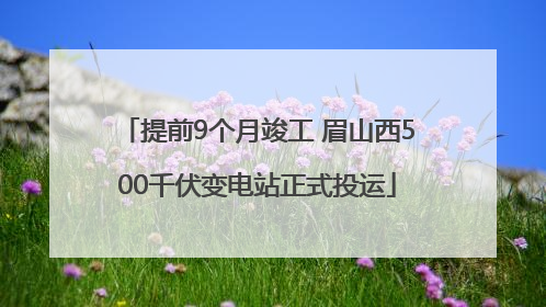 提前9个月竣工 眉山西500千伏变电站正式投运