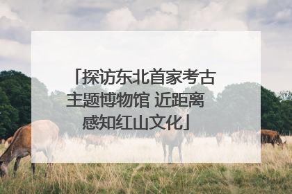 探访东北首家考古主题博物馆 近距离感知红山文化