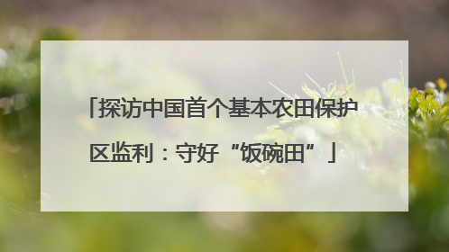 探访中国首个基本农田保护区监利：守好“饭碗田”