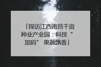 探访江西南昌千亩种业产业园：科技“加码” 果蔬飘香