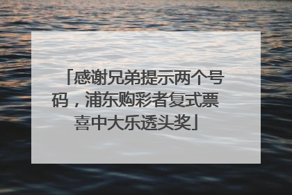 感谢兄弟提示两个号码，浦东购彩者复式票喜中大乐透头奖