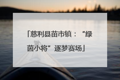 慈利县苗市镇：“绿茵小将”逐梦赛场