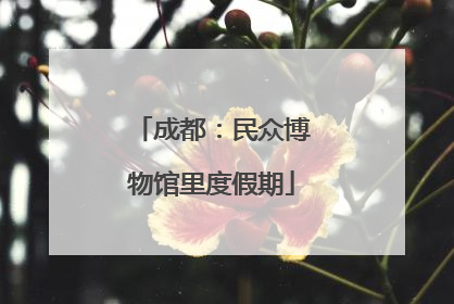成都：民众博物馆里度假期