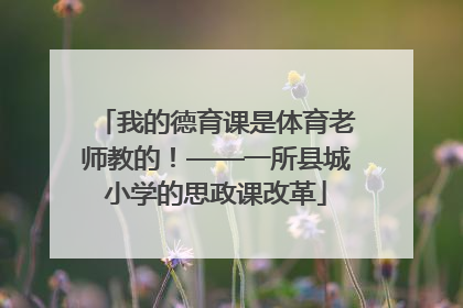 我的德育课是体育老师教的！——一所县城小学的思政课改革