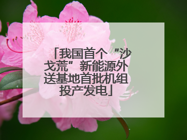 我国首个“沙戈荒”新能源外送基地首批机组投产发电