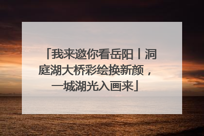 我来邀你看岳阳丨洞庭湖大桥彩绘换新颜，一城湖光入画来