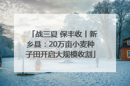战三夏 保丰收丨新乡县：20万亩小麦种子田开启大规模收割