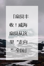 扇贝丰收！威海扇贝从这里“走向”全国