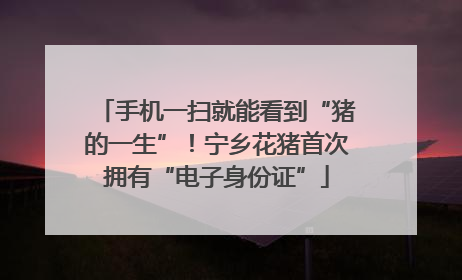 手机一扫就能看到“猪的一生”！宁乡花猪首次拥有“电子身份证”