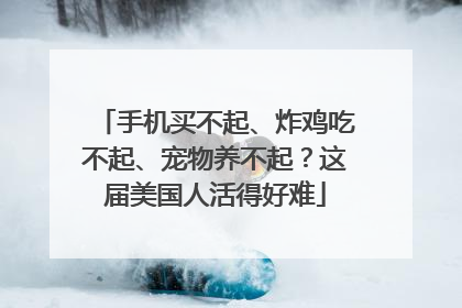 手机买不起、炸鸡吃不起、宠物养不起？这届美国人活得好难