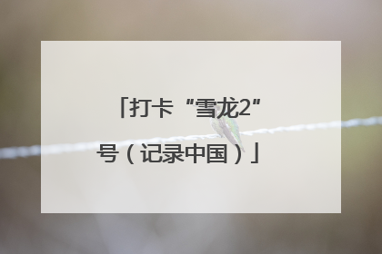 打卡“雪龙2”号（记录中国）