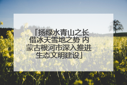 扬绿水青山之长 借冰天雪地之势 内蒙古根河市深入推进生态文明建设