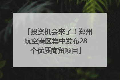 投资机会来了！郑州航空港区集中发布28个优质商贸项目