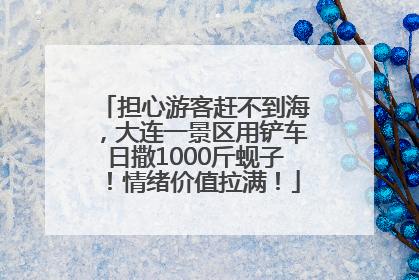 担心游客赶不到海，大连一景区用铲车日撒1000斤蚬子！情绪价值拉满！