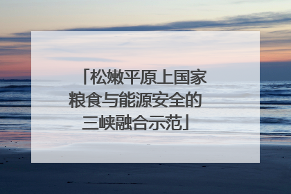松嫩平原上国家粮食与能源安全的三峡融合示范