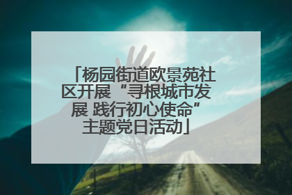 杨园街道欧景苑社区开展“寻根城市发展 践行初心使命”主题党日活动