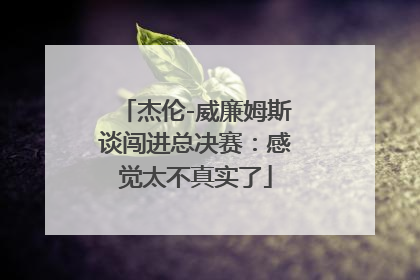 杰伦-威廉姆斯谈闯进总决赛：感觉太不真实了