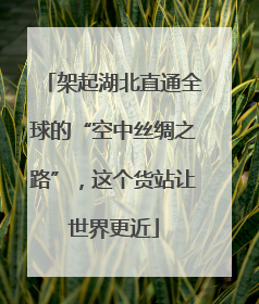 架起湖北直通全球的“空中丝绸之路”，这个货站让世界更近