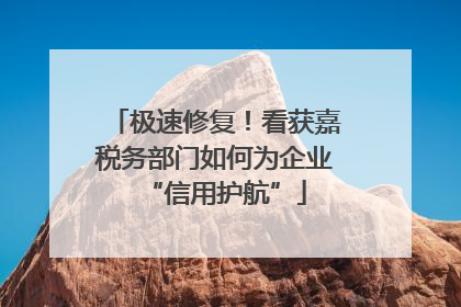 极速修复！看获嘉税务部门如何为企业“信用护航”