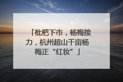 枇杷下市，杨梅接力，杭州超山千亩杨梅正“红妆”