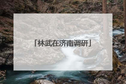 林武在济南调研